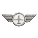 This badge is granted when a pilot has flown at least 30 hours. Welcome to the skies!