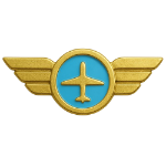 A badge of dedication. Granted after 250 hours in the virtual skies.