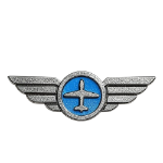 Earned after reaching 70 flight hours. You’re gaining valuable experience.