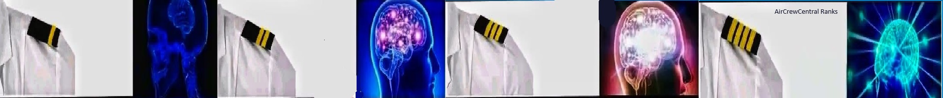Banner / Image