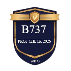 Annual recurrent line check (B737F)